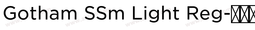 Gotham SSm Light Reg字体转换